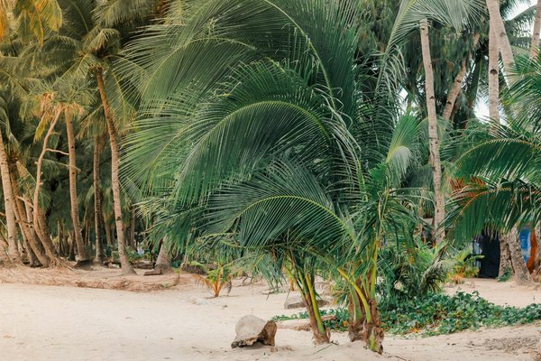 Explore the best campsites in the uk for a memorable experience at iconic british music festivals