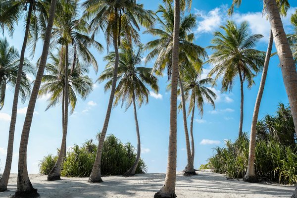 Discover pembrokeshire's breathtaking sea caves: embark on a memorable guided kayak journey!